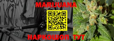 apvp Краснодар