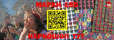 apvp Краснодар