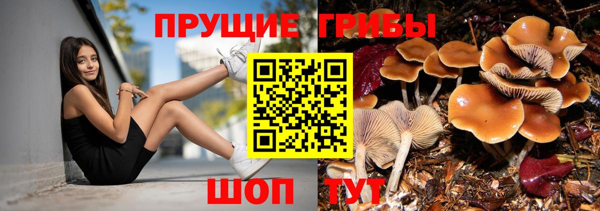 Галлюциногенные грибы Magic Shrooms  Вход с VPN  Гусь-Хрустальный 